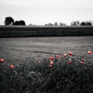 小清纯可爱女生的小嫩b被男生疯狂c视频
